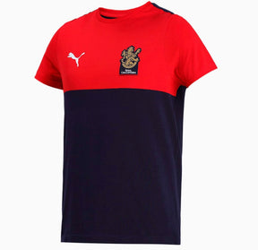 Royal Challengers Bangalore Men's Fanwear T-Shirt Jersey PumaPu 