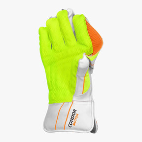 DSC Condor Motion Wicket Keeping Gloves