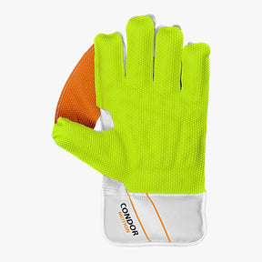 DSC Condor Motion Wicket Keeping Gloves