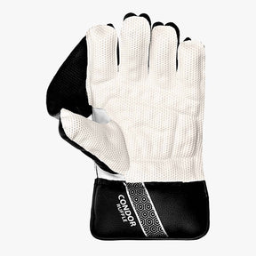 DSC Condor Ruffle Wicket Keeping Gloves